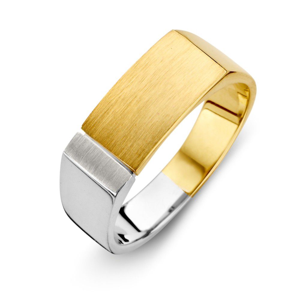 Ring bicolor