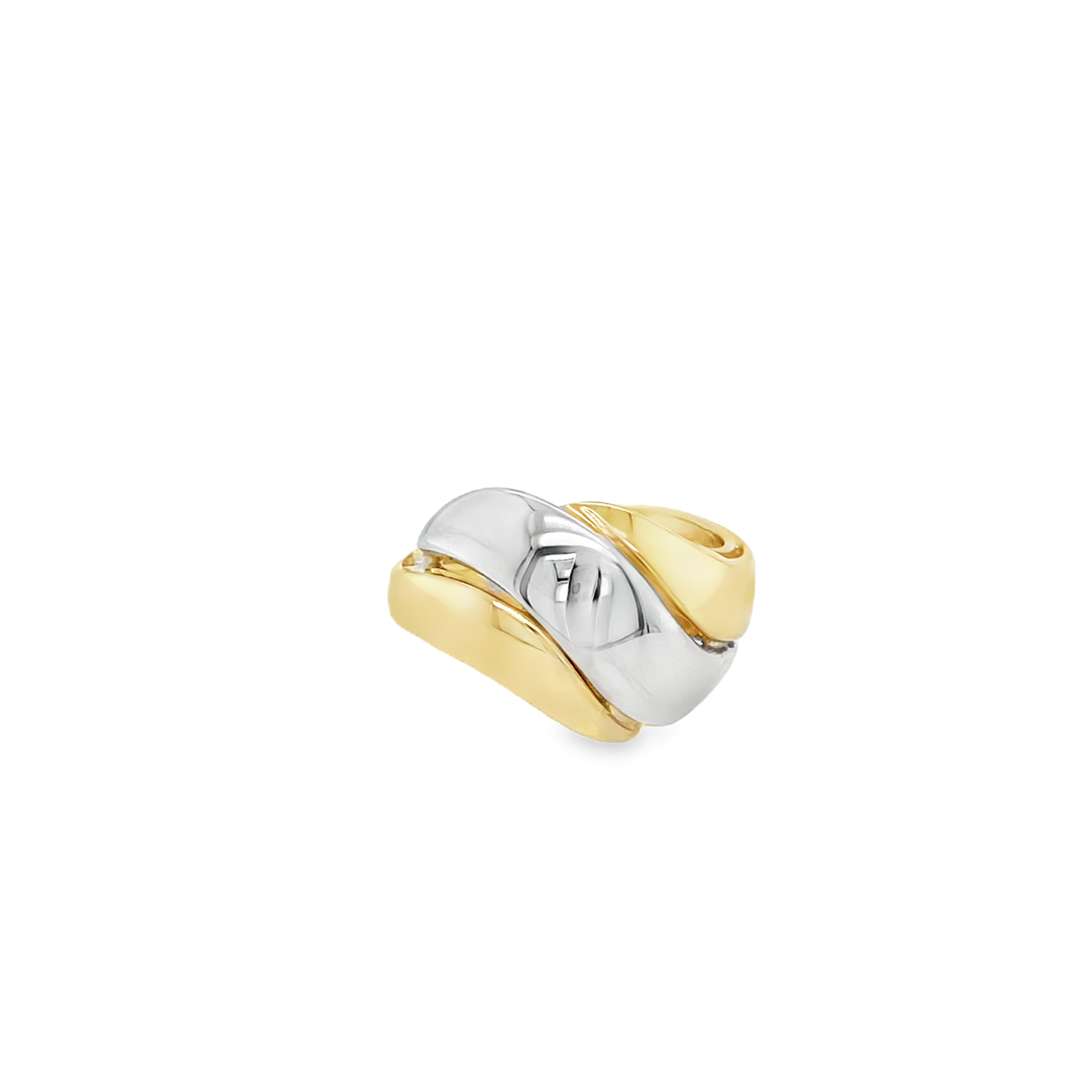 Details van het Sieraad 
Merk	Monzario
Model	875
Afwerking	Glanzend
Materiaal	Bicolor (geel goud met witgoud