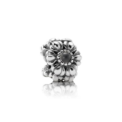 Pandora - Geboorte steen, Maansteen grijs (juni) - 790580MSG