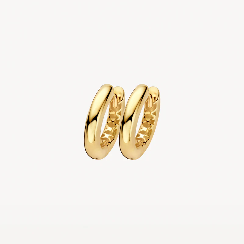 gouden Blush LG oorringen, rond/glad S