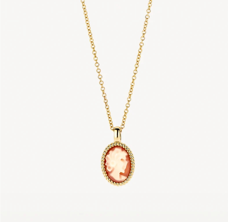 De hanger met camee aan dit 14k geelgouden collier met ankerschakels trekt meteen de aandacht. De lengte van het collier is 42 cm. Zeer stijlvol op zichzelf maar ook heel mooi in combinatie met andere sieraden met camee uit onze collectie.