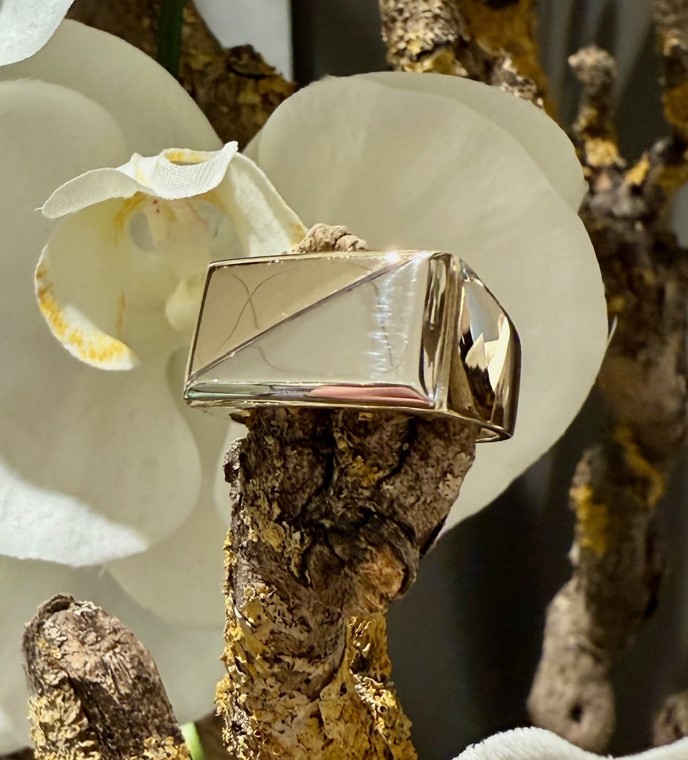 14 Karaat geel met witgouden heren ring. Kop 20 x 11 mm.