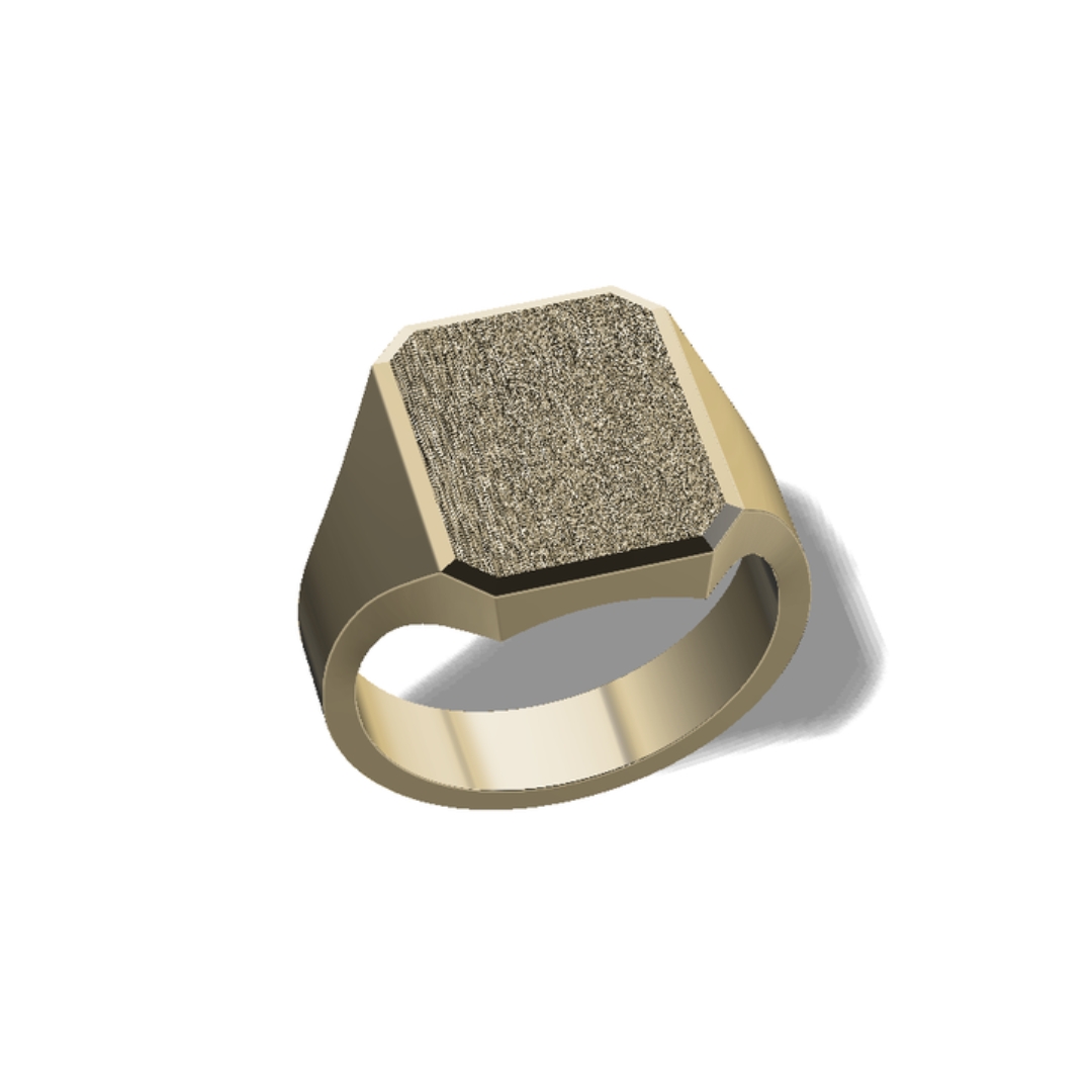 Huiscollectie - 14kt geelgouden zegelring massief, 16.6x14mm - HZHR2-20