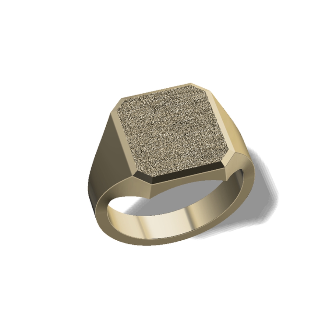 Huiscollectie - 14kt Geelgouden zegelring 14.6x13.4mm - HZHR1-20