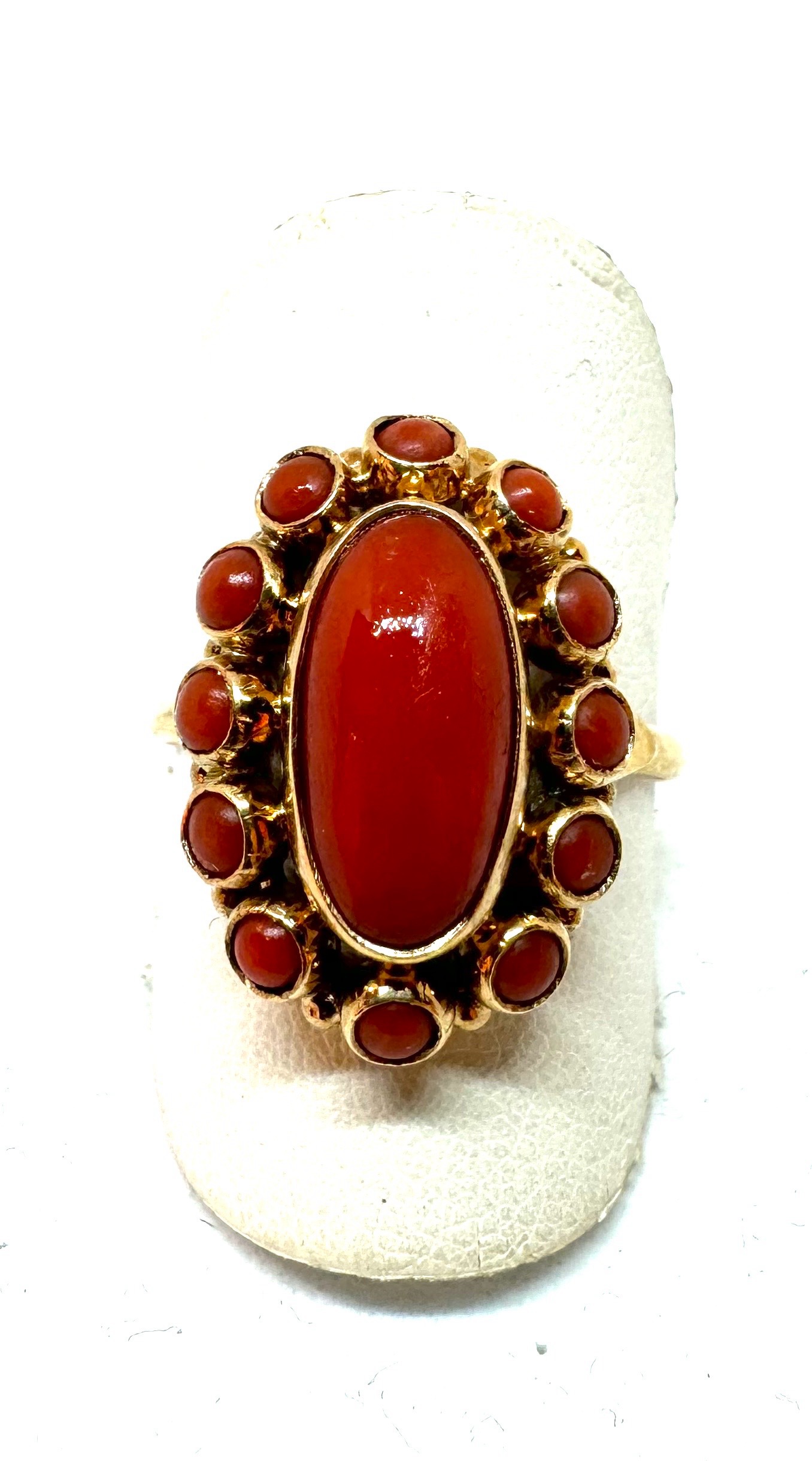 14 krt gouden ring met bloedkoraal entourage 