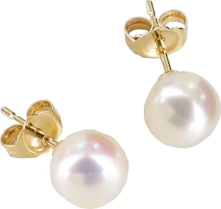 PARELOORBELLEN18KT
