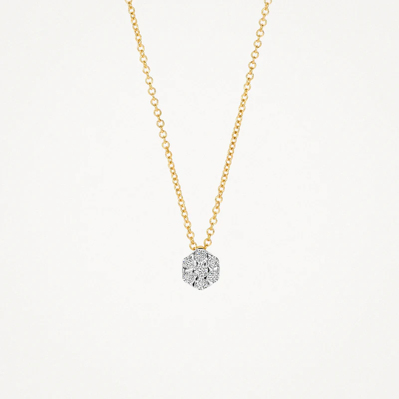 Deze prachtige blush diamond hanger is gemaakt van 18 karaats goud met schitterende diamanten in een elegante en tijdloze ontwerp. Perfect voor dagelijks gebruik of bij speciale gelegenheden. Draag deze hanger met een ketting van dezelfde kleur om je look compleet te maken. Een subtiel en stijlvol accessoire dat je outfit naar een hoger niveau tilt. Maak een statement met deze eyecatcher!