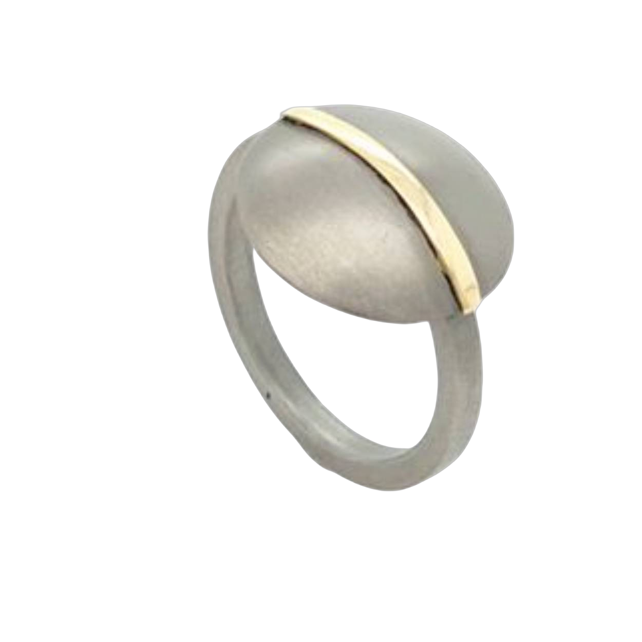 titanium discusring met goudlijn