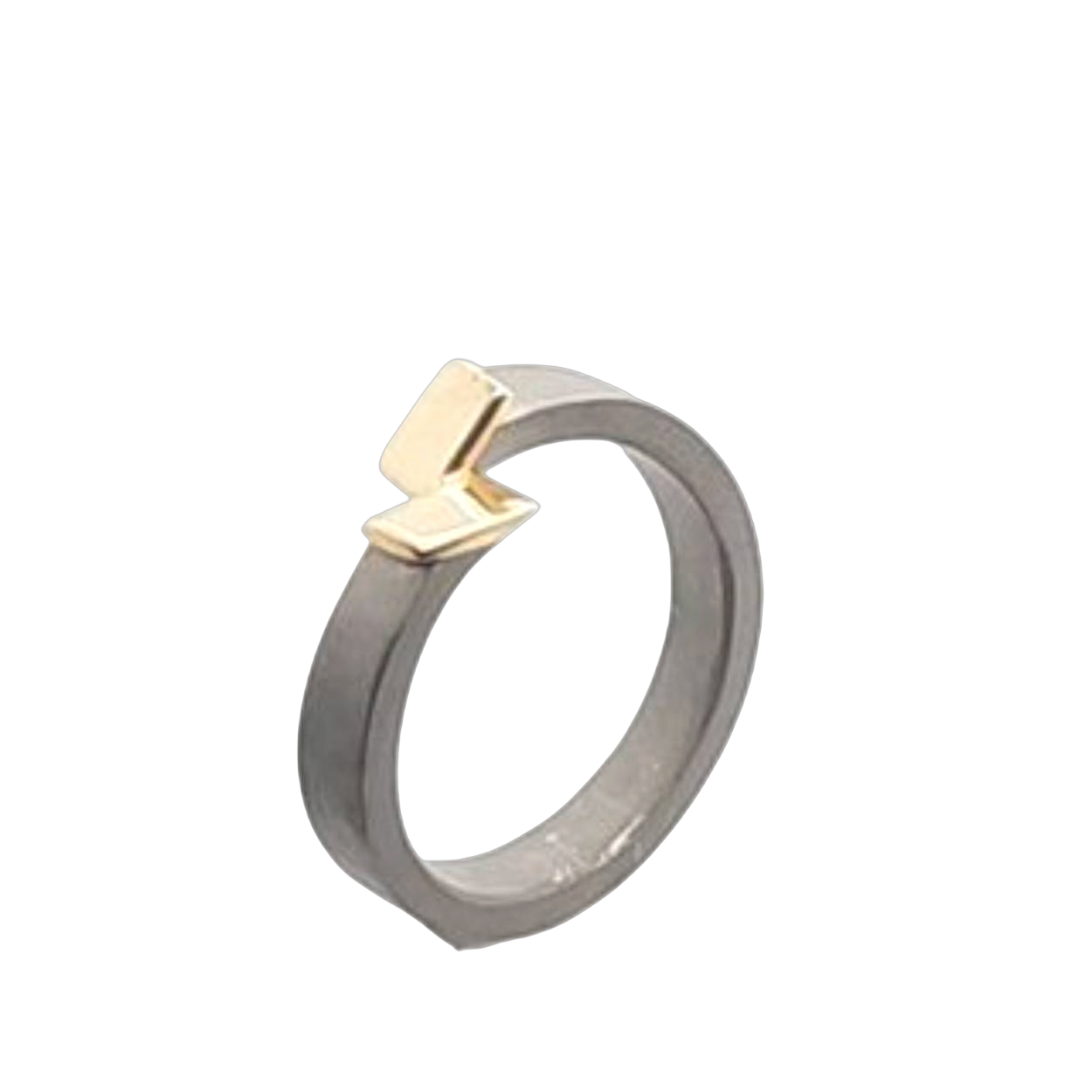 titanium ring met 2 gouden vlakjes