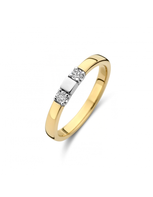 PADOVA ring
Bicolor gouden Memoire ring met 2 briljanten en 1 witgoud glanzend blokje dat aan de onderkant open is. Deze ring kan ook gebruikt worden als herinneringssieraad. 606130510