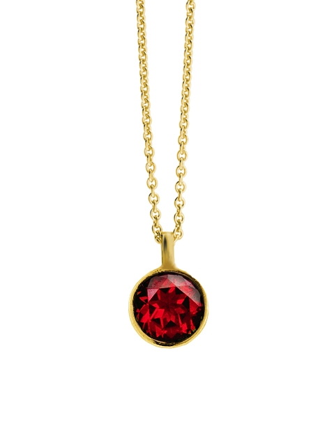 collier met hanger maandsteen .
Foto is voorbeeld van de maand januari.
