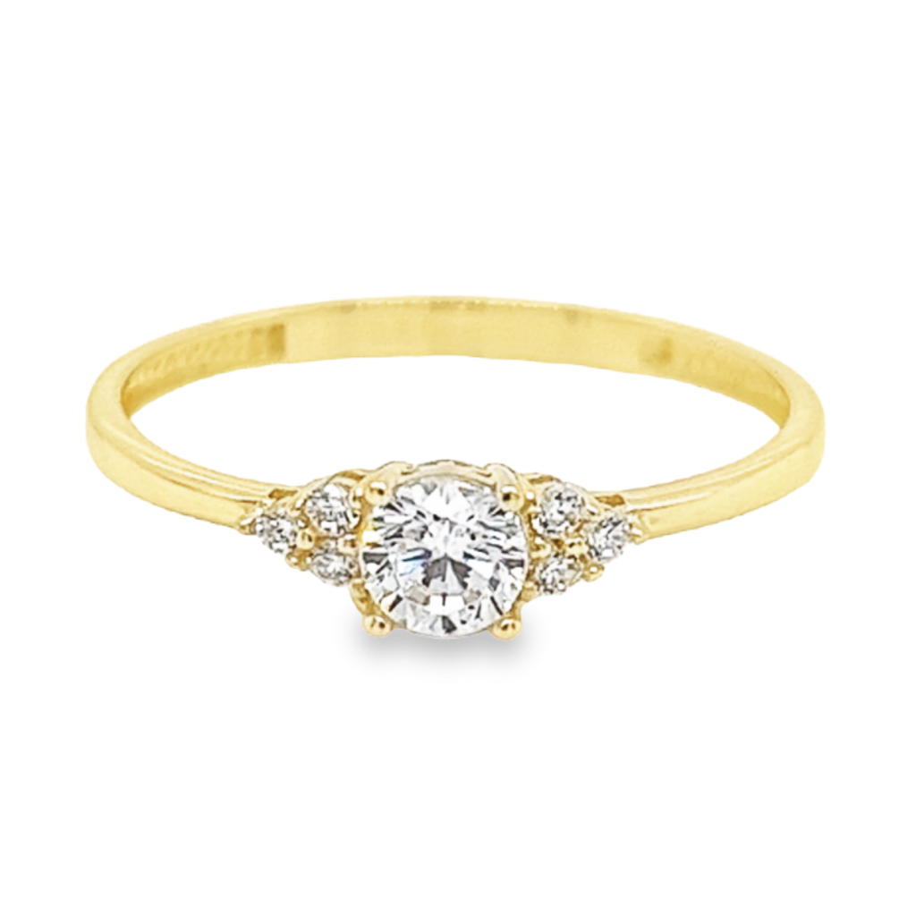 Deze geel gouden ring is ontzettend leuk! De ring is erg fijn afgewerkt en de in totaal zeven briljant geslepen zirkonia stenen zijn gezet op een bijzondere manier, wat de ring een klassieke uitstraling geeft.
