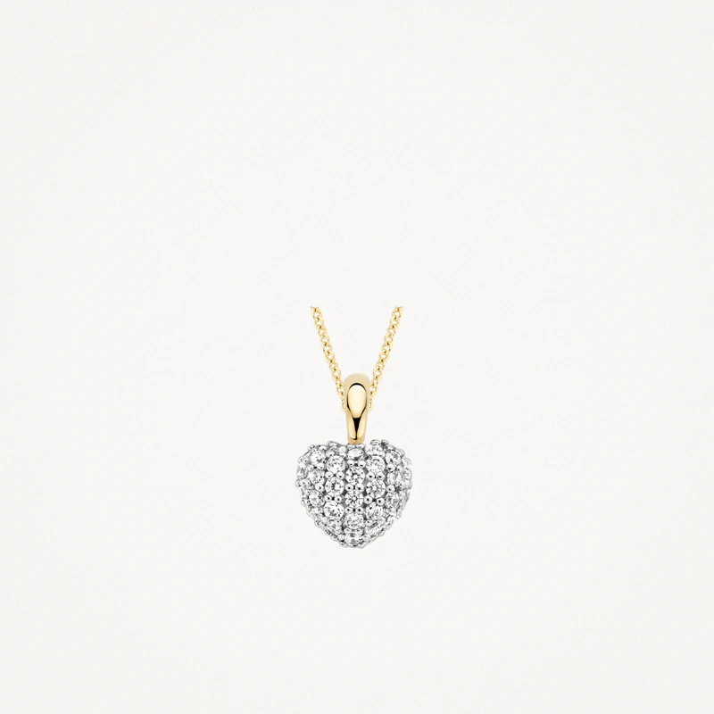 Deze hartvormige hanger van 14k wit- en geelgoud is bezet met een groot aantal briljant geslepen zirkonia’s: het perfecte, liefdevolle geschenk. Het elegante hangertje heeft een doorsnede van 7 mm.