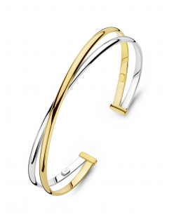 Fjory gouden bangle met zilverkern