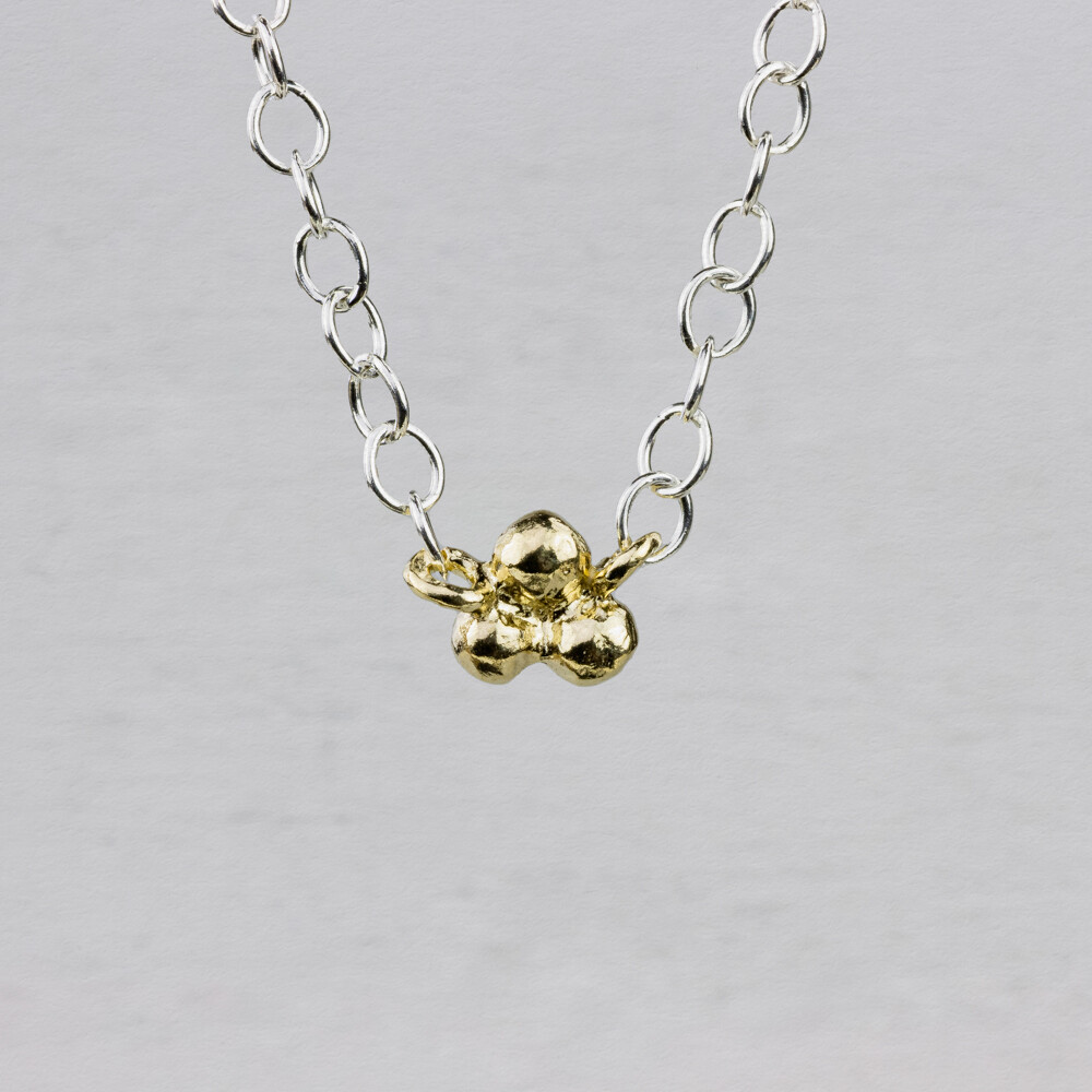 Collier gemaakt van 925 sterling zilver met daaraan een 9 karaat trosje. Je kunt het collier langer dragen dankzij het verlengstukje. Combineer met een paar mooie oorhangers, ring of armband.