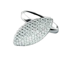 Een 18 krt witgouden ring van Charlotte model Riva met 75 diamantjes briljant geslepen totaal 0.65 crt op maat 55.