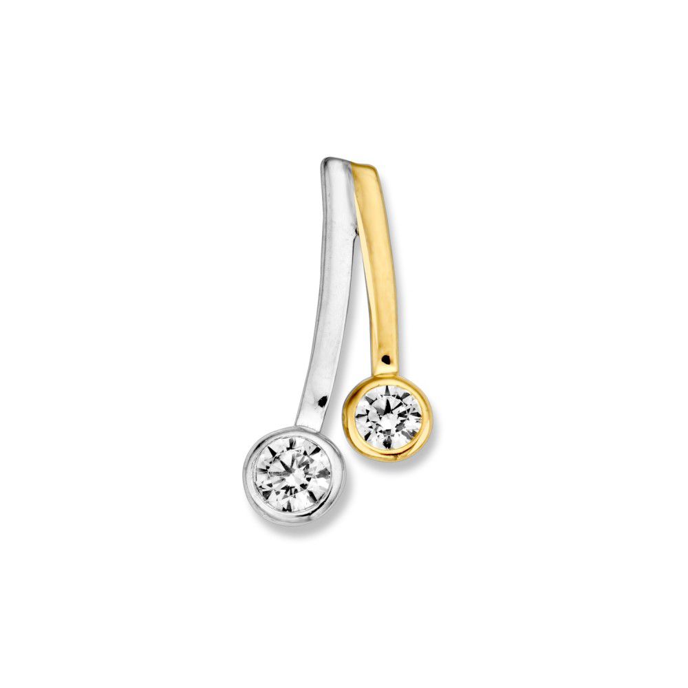 Bicolor wit- en geelgouden hanger.

