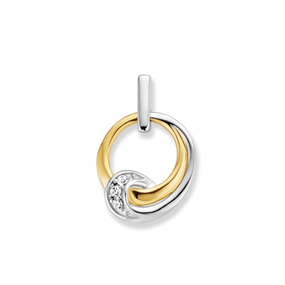 Bicolor wit- en geelgouden hanger met zirkonia.
