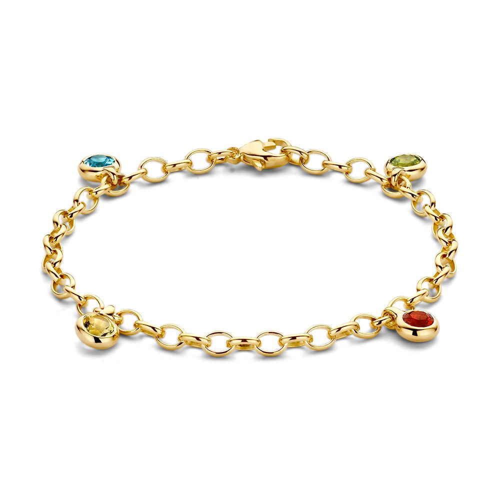 Geelgouden armband met gourmetschakel en vier verschillende edelstenen als bedels. De armband bevat een blauwe topaas, peridot, lemon kwarts en vuuropaal.

