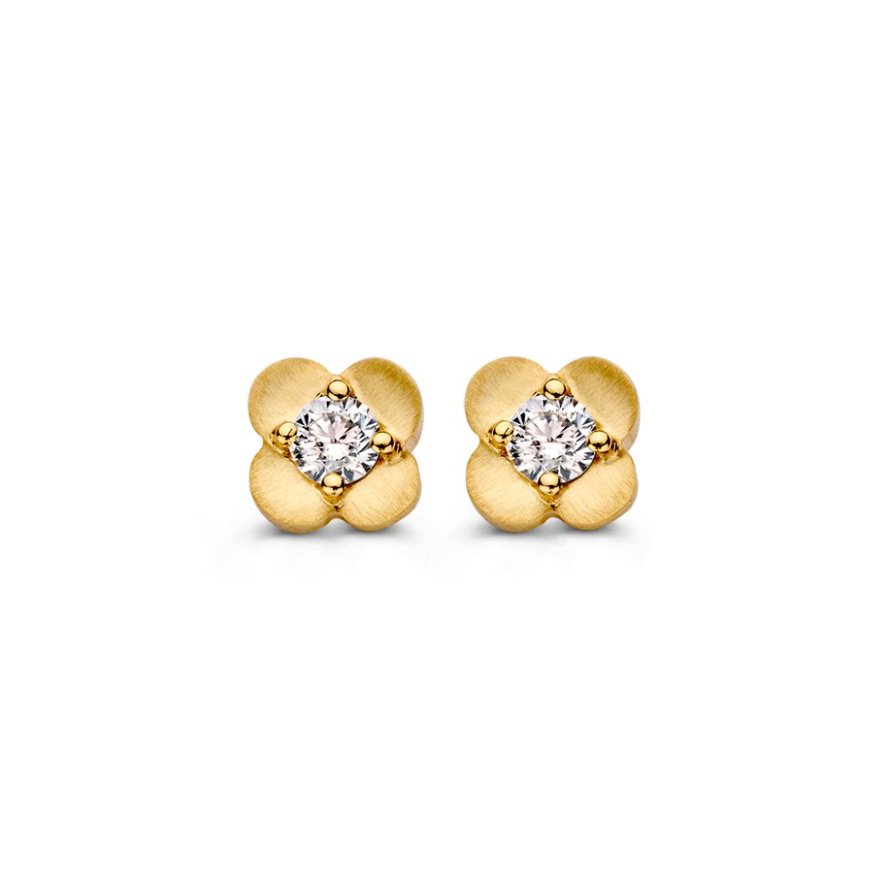 Geelgoudenbloemvorige oorknoppen gezet met diamant.
