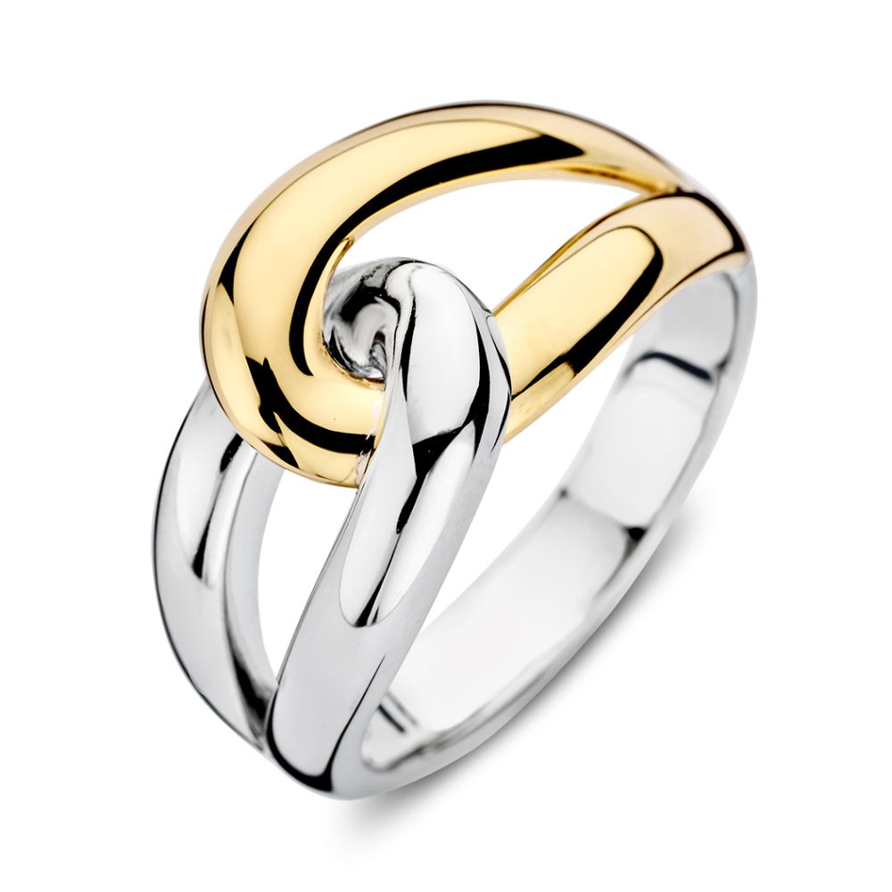 Opvallende zilver met 14kt gouden schakelring.
