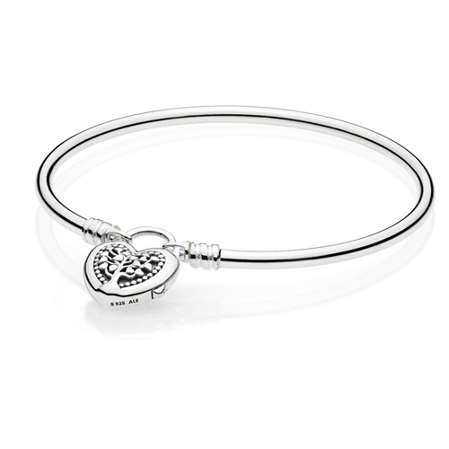 Pandora - Zilveren vaste armband, Love Makes a Family - 590729CZ-21