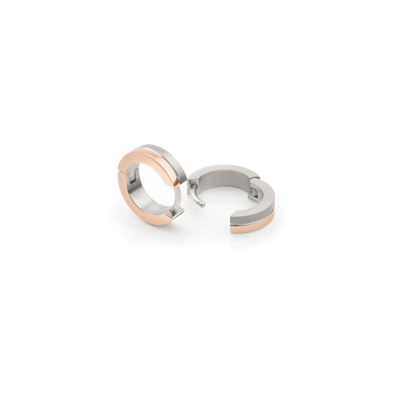 Dit zijn oorsieraden van het merk Boccia Titanium