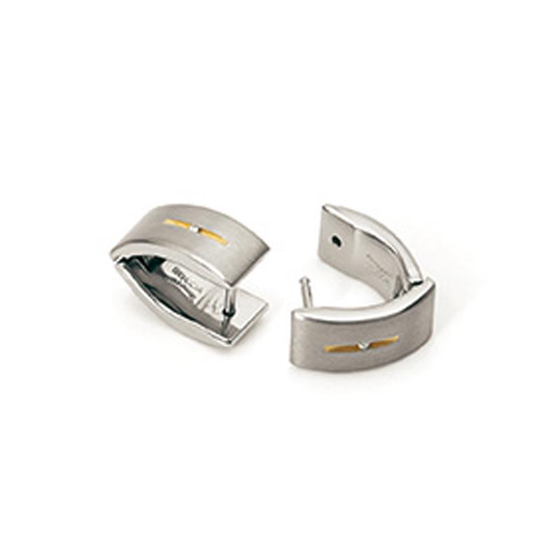 Dit zijn oorsieraden van het merk Boccia Titanium