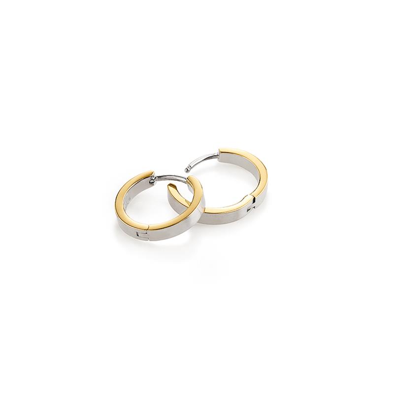 Dit zijn oorsieraden van het merk Boccia Titanium