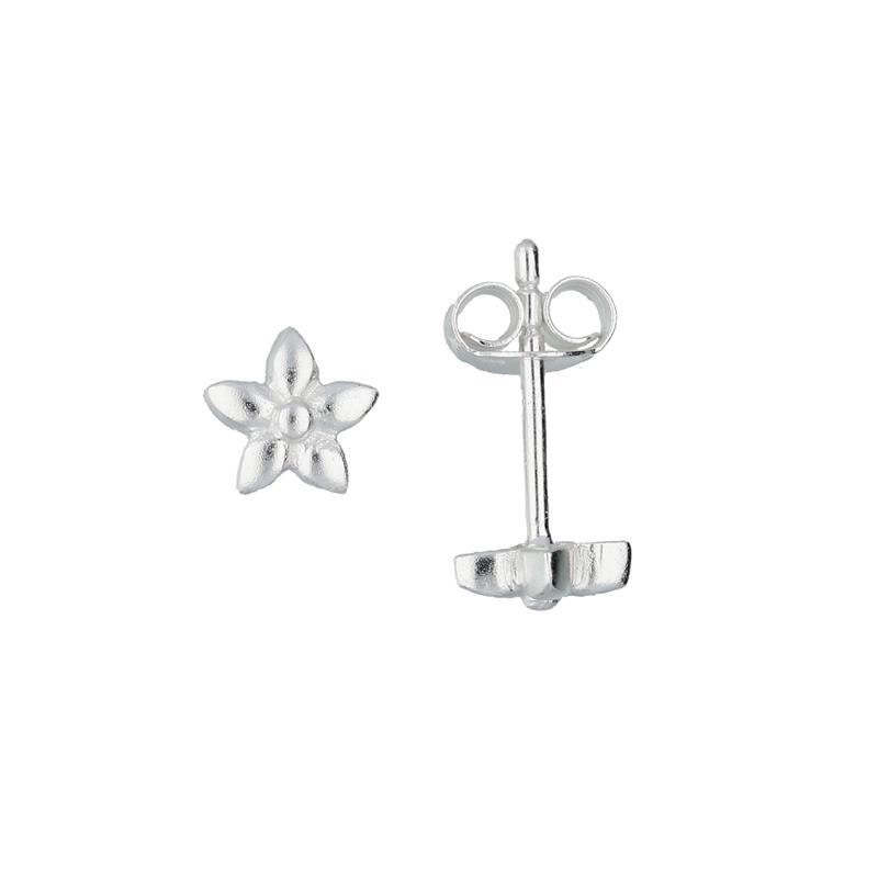 Deze oorknoppen zijn van het merk Lilly. Het zijn oorknoppen voor Meisjes gemaakt van zilver. De oorknoppen zijn zilver van kleur.
De verdere specificaties van de oorknoppen zijn als volgt:
Soort bewerking: geen bewerking
Lengte: 6
Steensoort: Geen edelsteen
Steenkleur: Geen steen
