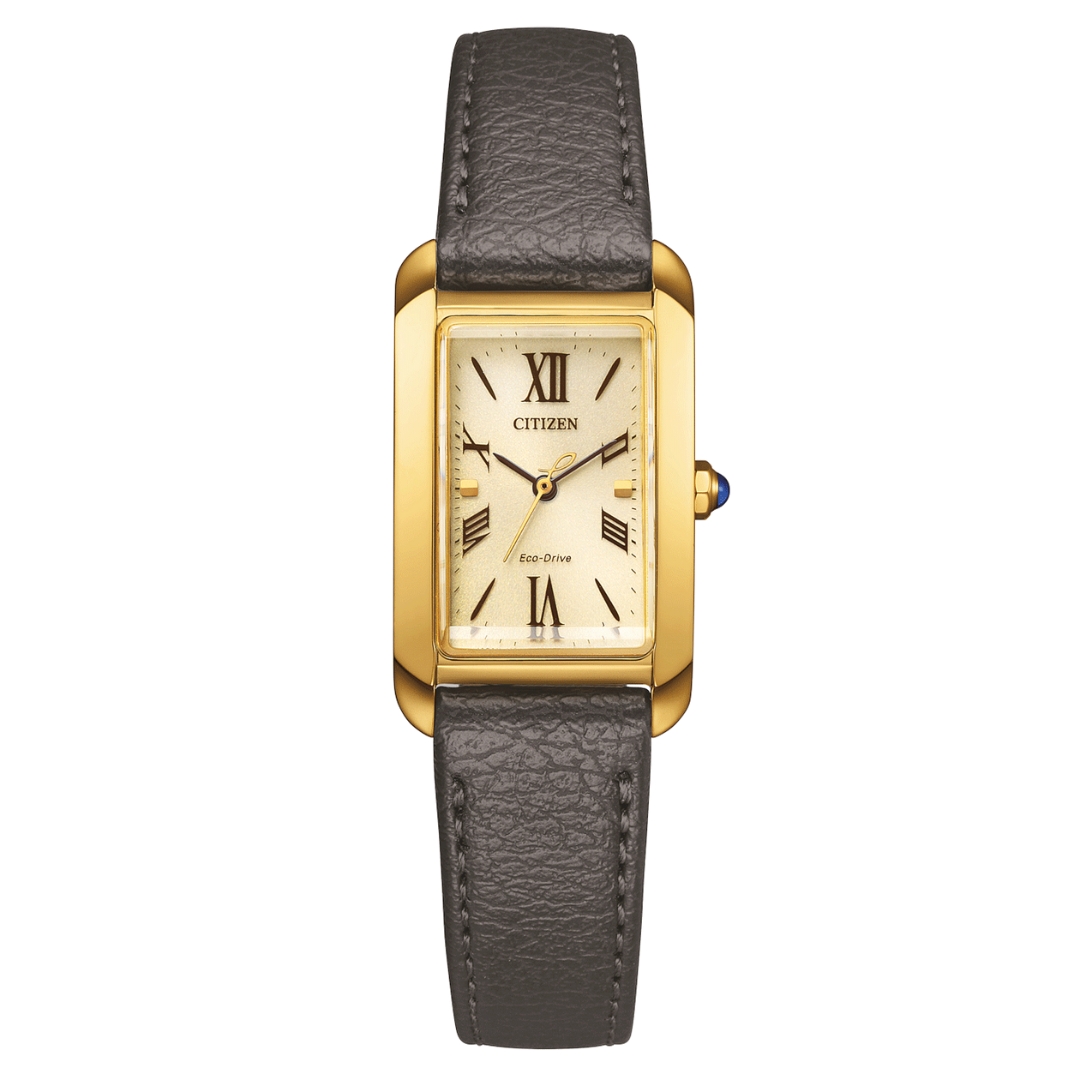 Citizen Eco-Drive Horloge EW5622-09P