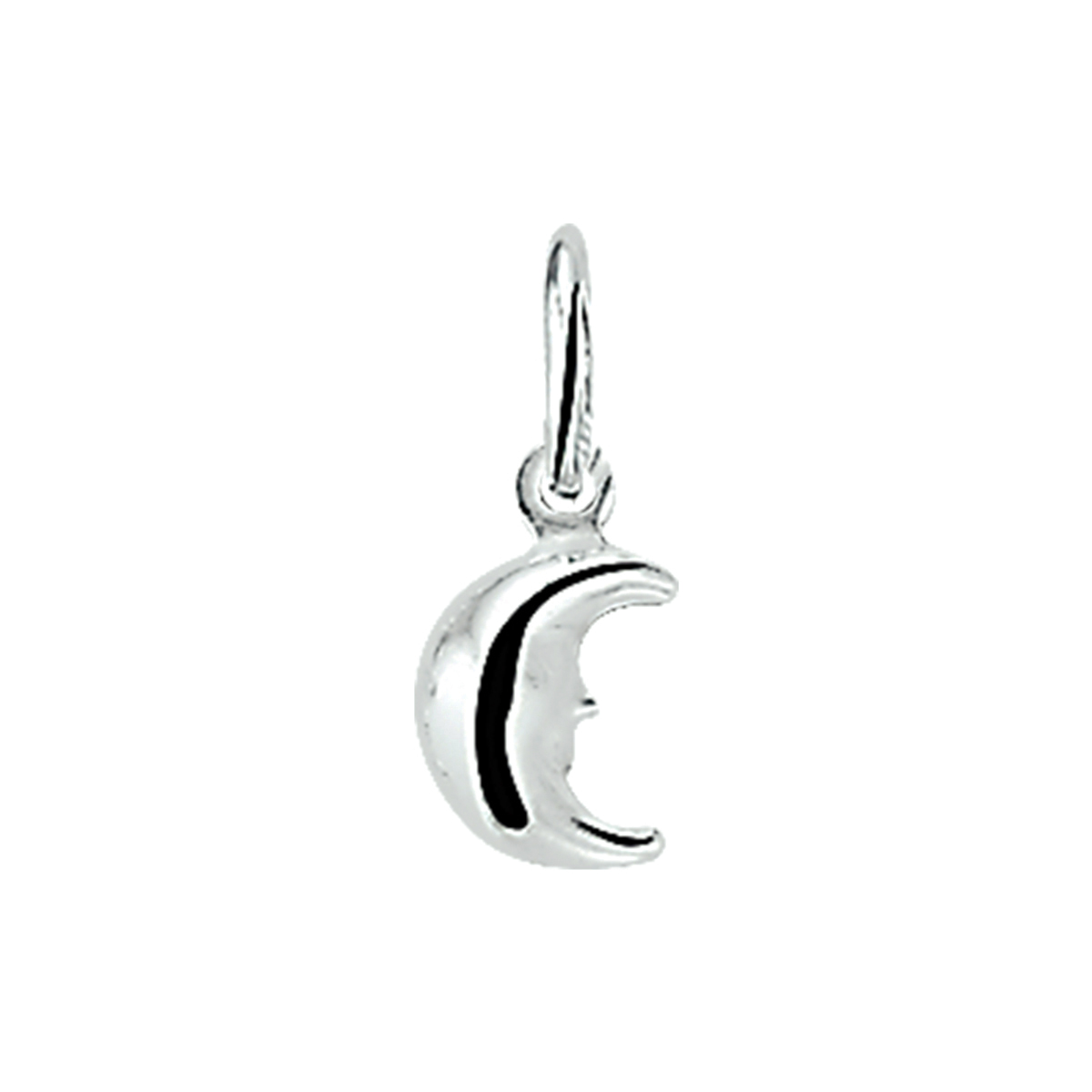 Zilver Hanger/Bedel Halve Maan