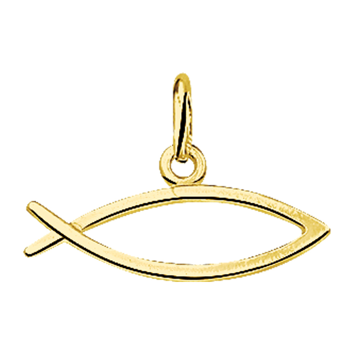 Beschrijving: Geelgouden hanger met een ichtus visje.
Verpakt per: 1
Doelgroep: unisex
Breedte: 20.5 mm
Hoogte: 10 mm