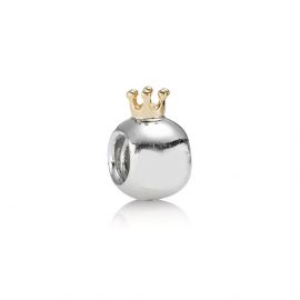 zilver rondje met goud kroontje