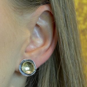Oorstekers rond zilver oxy met zilver verguld
