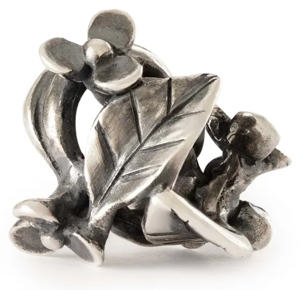 De Trollbeads Bedel Blaadjes, modelnummer TAGBE-BRUMSET1, is een prachtige hanger die behoort tot de categorie juwelen. Deze verfijnde bedel is ideaal voor het personaliseren van armbanden of kettingen. Draag hem solo of combineer met andere bedels voor een unieke look. Creëer een natuur-geïnspireerde stijl door het met andere natuurlijke elementen te combineren.