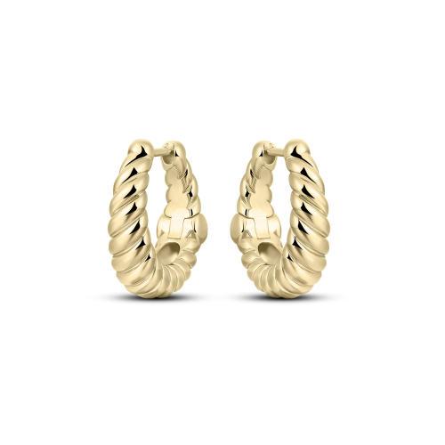 Zilver vergulde oorringen 