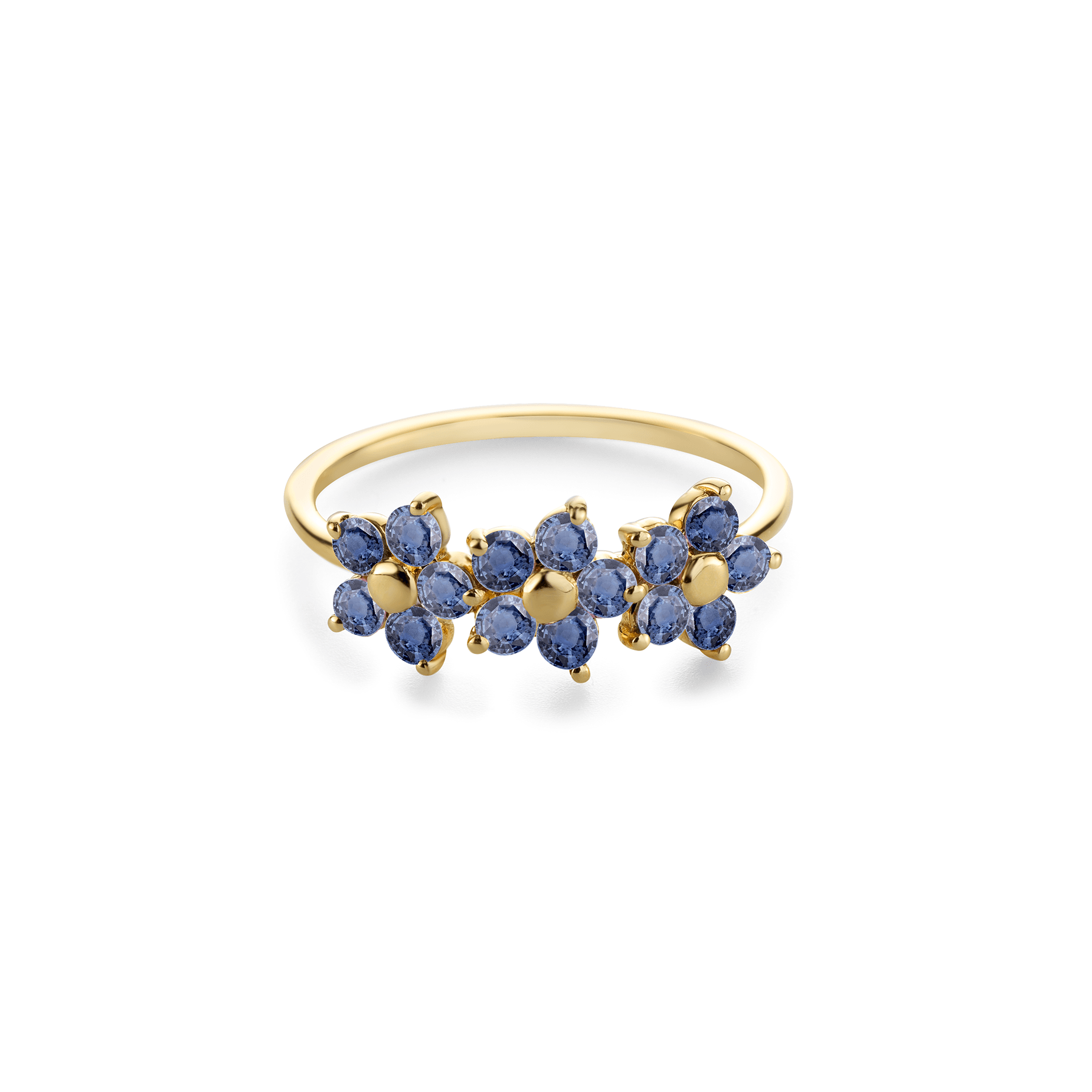 Ring In Full Bloom Blue River III
Ring In Full Bloom Blue River III 14kts goud met 15 intens blauwe saffiertjes