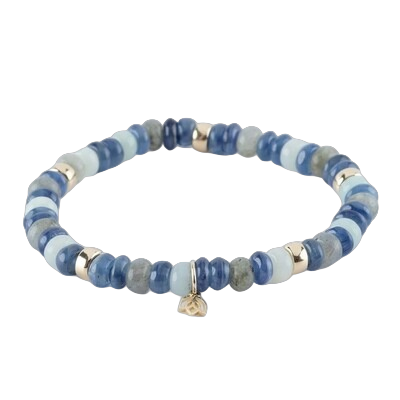 Y&G Edelsteen armband Denim, met kyaniet, amozonite en labradorite
Edelstenen armband (6x4mm kralen) en Vijf 14 krt gouden beads & tulp logo.
