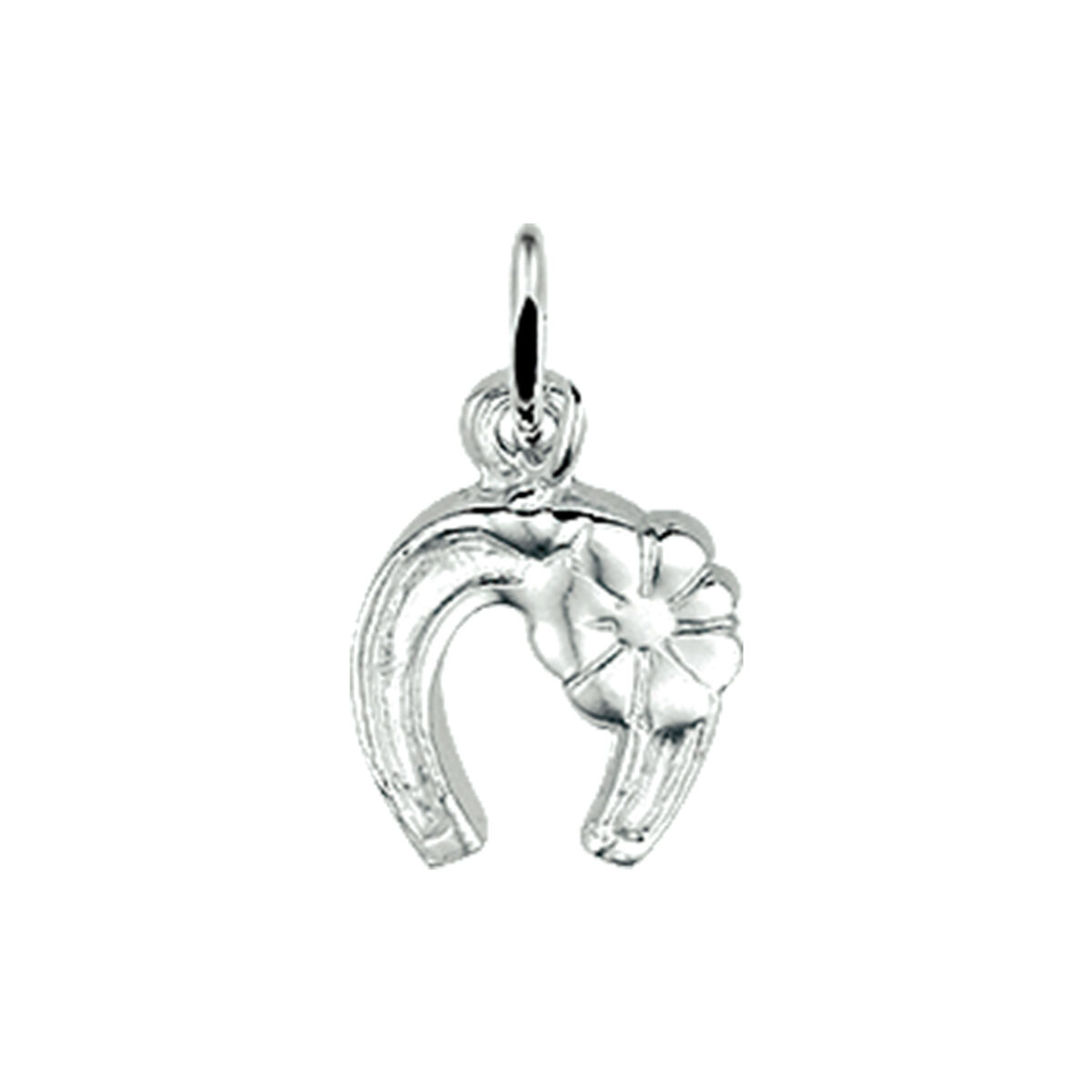Zilver bedels hanger hoefijzer