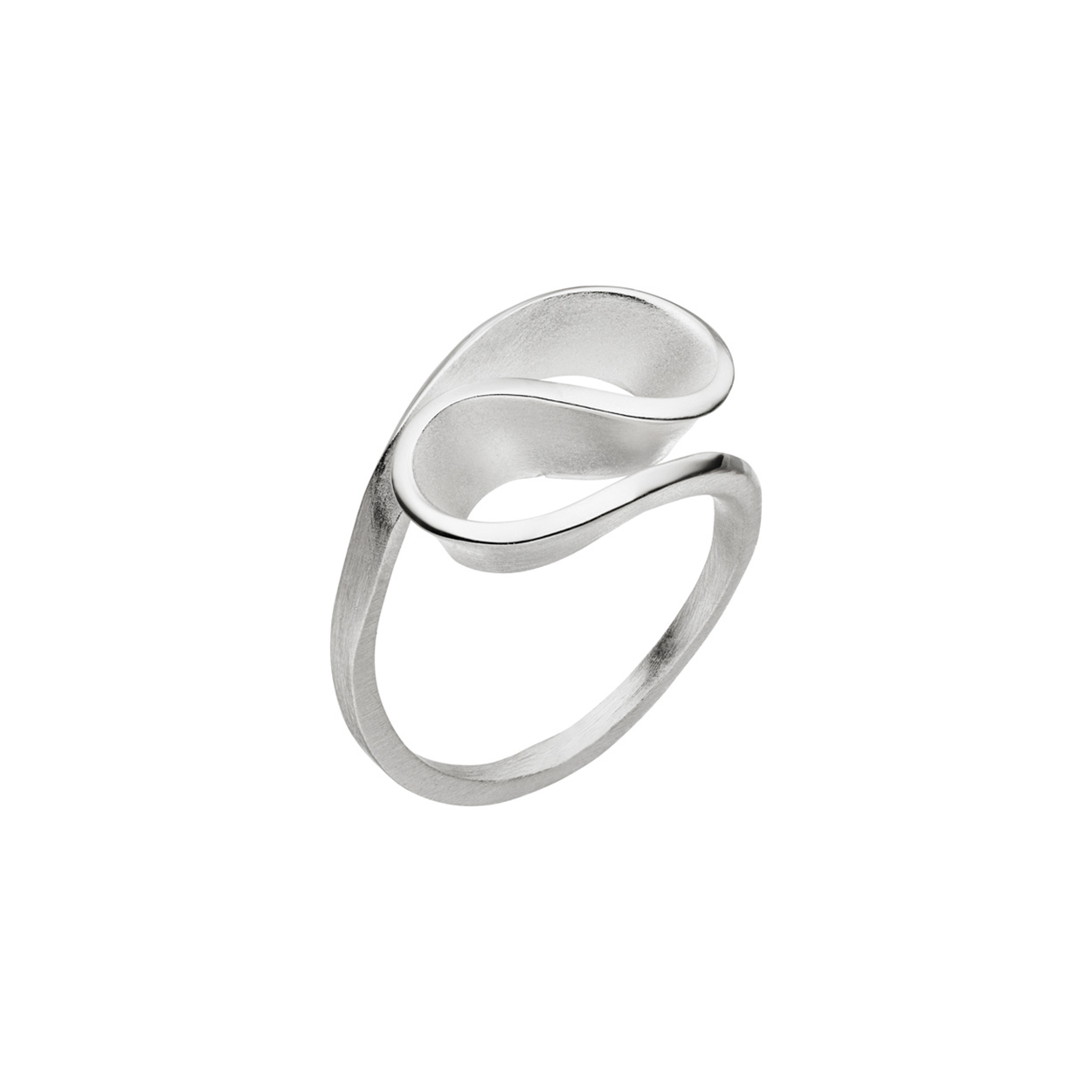 Een stijlvolle zilveren ring