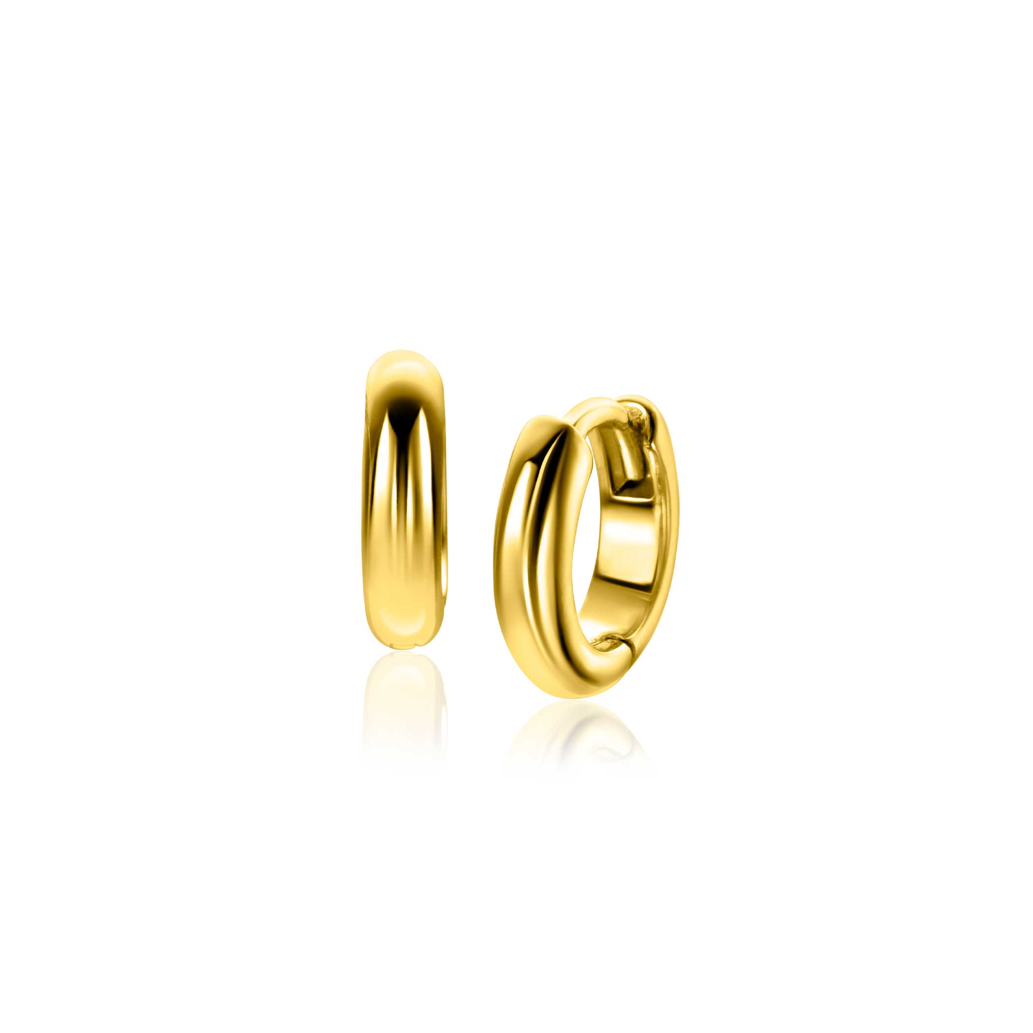 Zinzi oorringen ZIO2600G