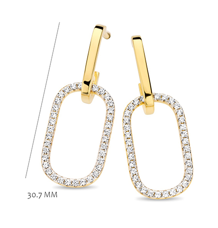 Oorslingers van Silver Rose in Zilver (verguld) met zirkonium steentjes in verwerkt en die net een tikkeltje meer schittering & uitstalling geven.
De lengte van de oorbellen is +/- 33 mm.