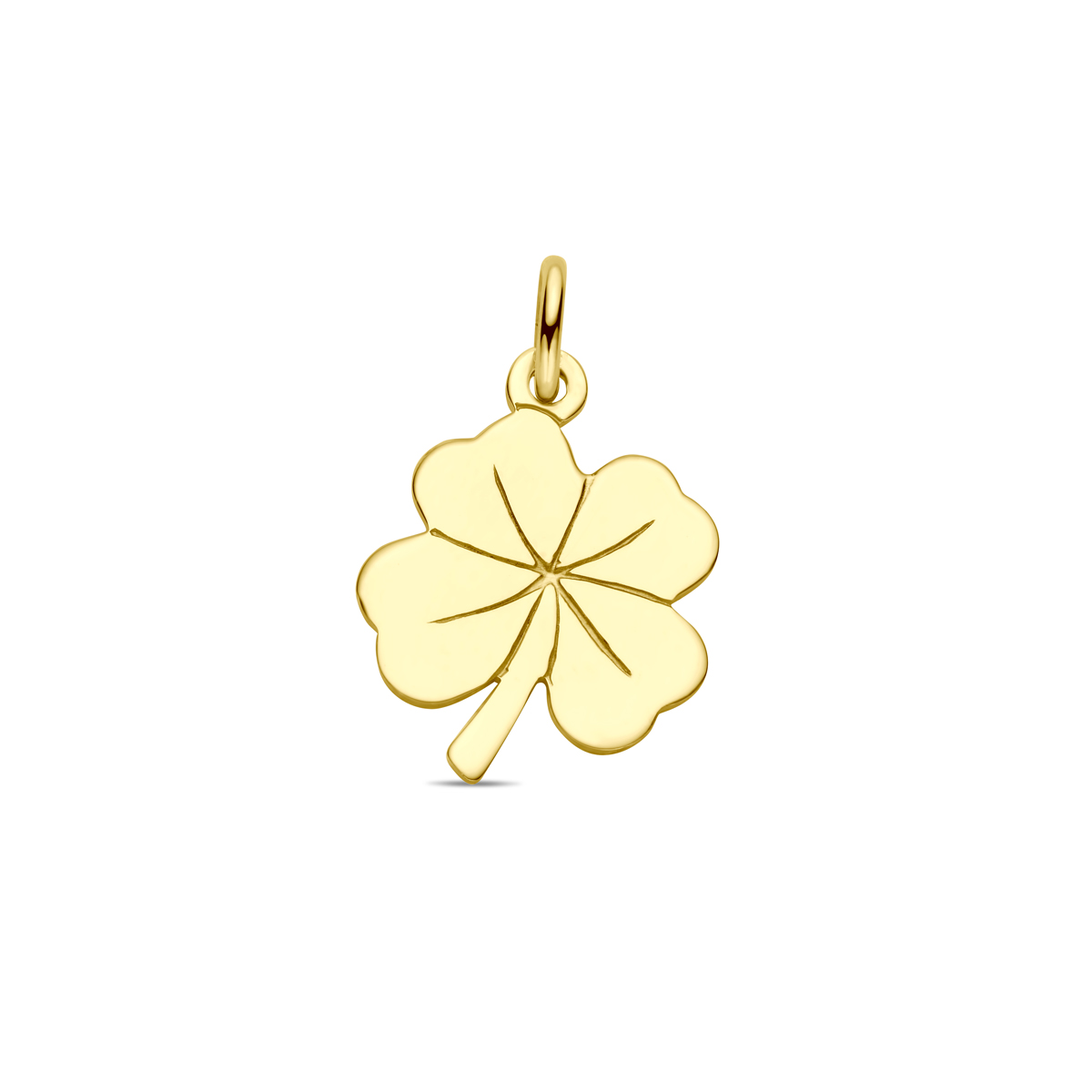 Beschrijving: Geelgouden hanger met een klaver. 
Doelgroep: unisex
Breedte: 14 mm
Hoogte: 18 mm