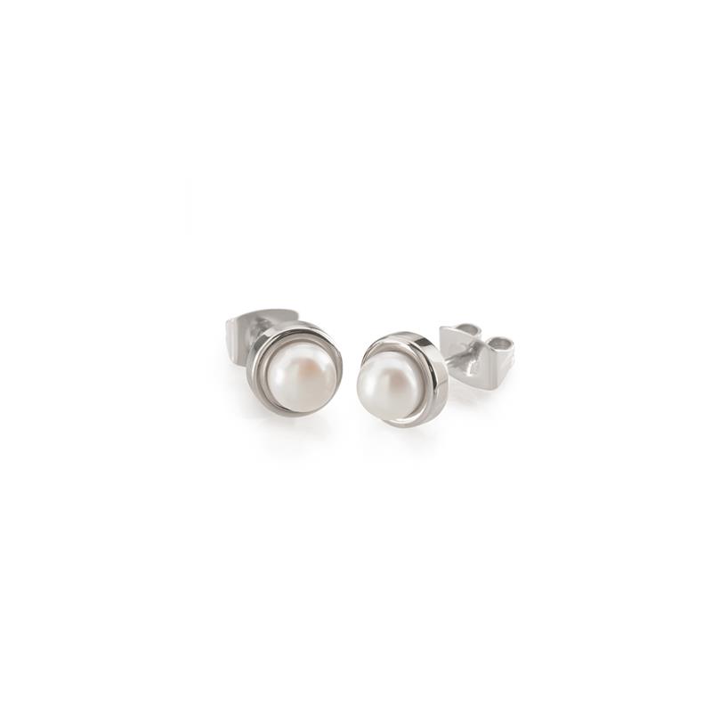 Dit zijn oorsieraden van het merk Boccia Titanium