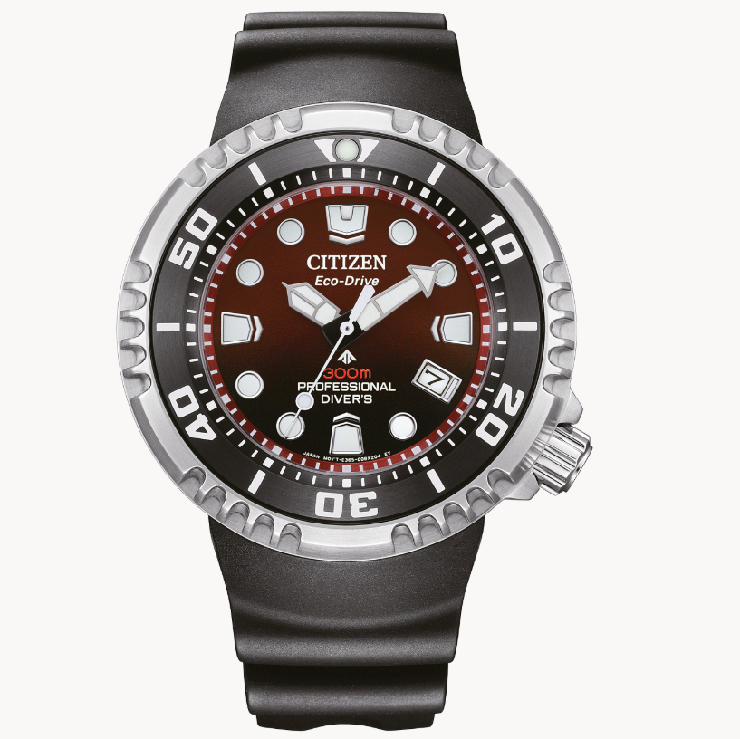 Citizen horloge bn1024-01z bruin