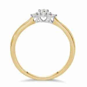 GBG0137 Bic ring fantasie 1-0.18/2-0.10 GSI