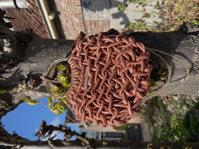 De Simosastre Eloise Clutch Cord Cobre, modelnummer 25S2040/CB, is een stijlvolle crossbody tas van een nog onbekende merk. Deze tas valt onder de categorie 'BAGS' en is ideaal voor dagelijks gebruik of een avondje uit. Draag hem schuin over het lichaam voor ultieme bewegingsvrijheid en een trendy look.