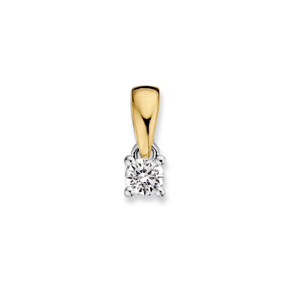 Bicolor gouden solitair hanger met 0,10 crt. briljant in vierpootszetting.

