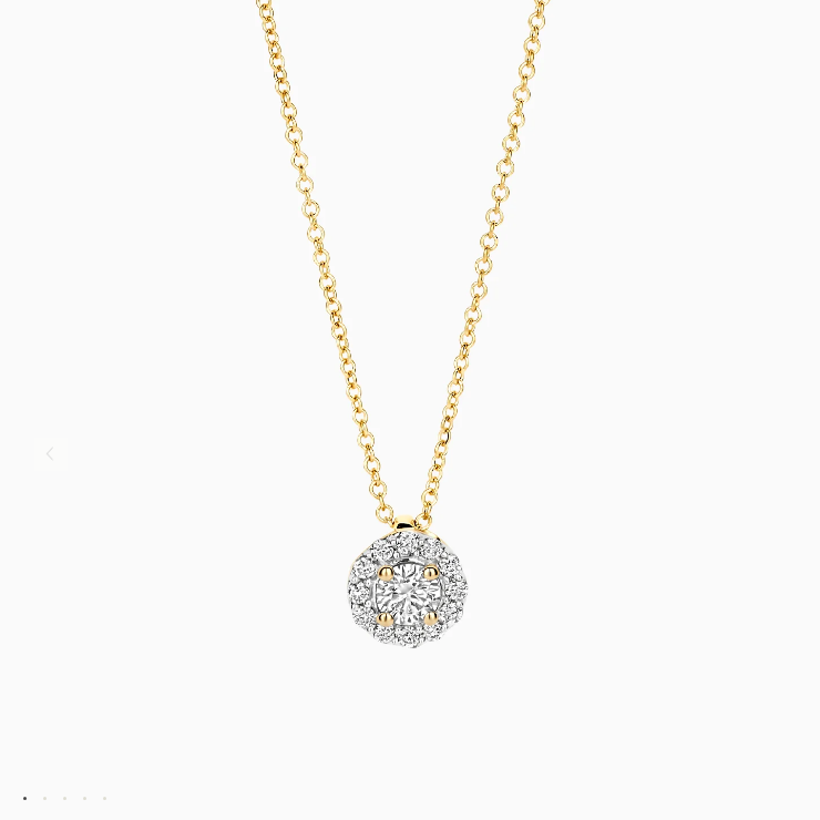 Glinsterende lab-diamonds sieren de hanger aan dit collier van 14k geelgoud. Het totale karaatgewicht van de diamanten is 0,22 en de lengte van het collier is 42 cm. Draag dit stijlvolle collier op zichzelf of combineer het met andere sieraden met lab-diamonds uit onze collectie.